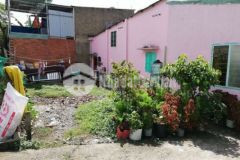 Chủ nhà kẹt tiền cần bán lô đất an phú đông