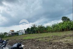 Bán lô đất tại bảo vinh giá f0 đầu tư tốt