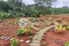 View nghỉ duong mini có 80m mat đuong nhựa