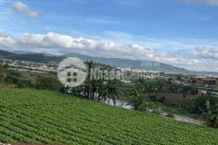 Chính chủ gửi bán lô đất 502m2. sổ riêng. view sông đa nhim. đạ ròn, đơn dương. giá 1 tỷ 350 triệu