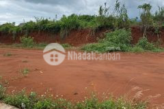 Đât bông lai cân ban gia 900tr, diên tich 131m2
