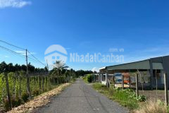 Chính chủ cần bán lô đất sau trường tiểu học giá 511tr giá hết đất