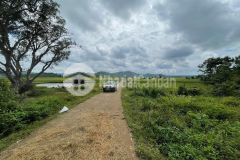 Cần tiền gấp giải quyết việc gia đình nên chủ cần bán nhanh gần 1 sào đất tại krong ana