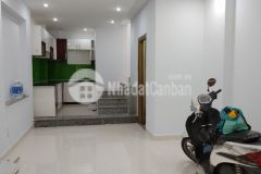 Bán nhà nhất chi mai tân bình xe hơi đỗ cửa 33m2 gía chỉ 3ty4