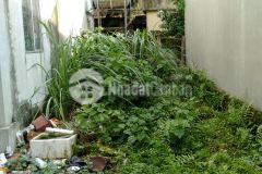 Bán gấp mảnh đất đức thượng vuông đẹp gần ô tô trung tâm cao xá 59m2, mt 3.8m, giá nhỉnh 2 tỷ