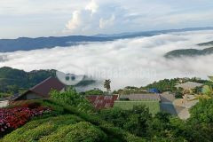 Bán nền đất 900m2 hơn 600m2 thổ cư view rừng thông siêu đẹp chỉ 10 tỷ