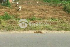 Lô 130m mặt tiền đường bến than rộng 40m xe công