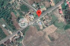 D705 bán lô trục chính dray sáp krông ana