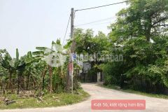 Cực hot đất trưng nữ vương nở hậu đẹp mê li