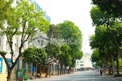 Bán đất phố cổ, 85m2, mt 4.9m, 64 tỷ