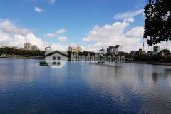 Bán gấp bán nhà trần hữu tước, đống đa hiếm, đầu tư, dòng tiền, 55m2 2.7 tỷ 0369931147