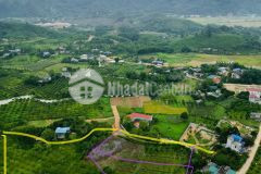 Bán gấp lô đất có dt 7615m2 có sẵn 205m2 thổ cư, cực hợp làm trang trại nhà vườn