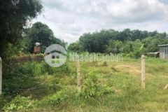 Bán đất 24x100 1 sẹt sông lô hưng thuận trảng bang