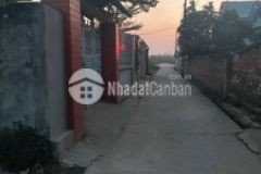 Mua đất tặng nhà 3 tầng tại bắc thượng quang tiến