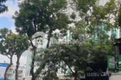 Bán nhà 2mt lữ gia 7 5x17 2t hd120tr giá 21 3tỉ