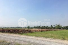 1000m2 đất ấp nhơn hòa 1 đức hòa thượng đức hòa