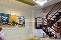 Bán nhà gần bệnh viện đa khoa tp đà lạt