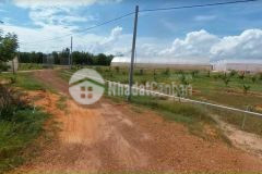 Đất trồng cây lâu năm 3000m2 xã phan hiệp cách biển 3km sổ sẵn, công chứng ngay