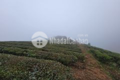 Đất nền mộc châu, đầu tư đón sóng cao tốc khu dl quốc gia, sinh lời cao