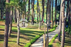 Chỉ từ 10trm2 sở hữu đất tt nông trường mộc châu