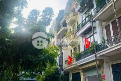 Nhà phân lô, kđt đền lừ, quận hoàng mai, 55m2 x 5 tầng.