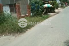 Cần bán miếng đất 385m2 ở xã tân thông hội củ chi giá 1 tỷ 950.