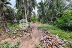 Bán gấp đất ở nông thôn phước long