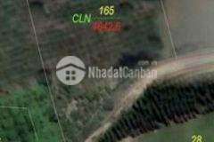 4 6 sào tại huyện krông bông chỉ 230tr