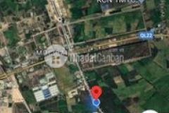 Bán đất thổ cư mặt tiền tỉnh lộ 786 xã lợi thuận