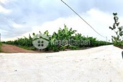 Bán đất sào 1000m2 cạnh khu dân cư mặt đường 25m