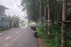 Cần tiền bán gấp lô đất chính chủ giá rẻ 8trm2