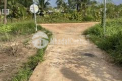 Đất lúa mỹ phú qlo62 rạch chanh