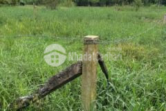 Đát nền 8x24 100m thổ cư