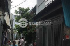 Nhà bán 21m2 sổ hồng bao sang tên p15 q8