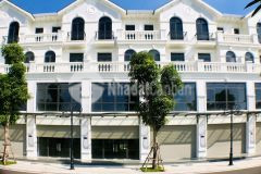 Bán shophouse sao biển vinhomes ocean park 80m2 mt7.5m nhỉnh 17tỷ