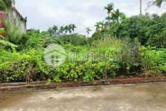 Chuyển nhượng lô nhà vườn hoà nghĩa, dương kinh 366m2