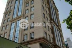 Nhà văn phòng hạng a kết hợp penthouse dát vàng