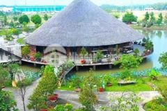 Bán nền long châu giá tốt hiện tại
