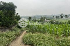 Bán nhanh lô đất thôn 9 ba trại ba vì tp hà nội