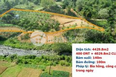 Bán gấp lô đất có dt 4429m2 trong có 400m2 thổ cư bám suối cái hơn 140m