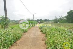 Khu dân cư hải thái gio linh quảng trị 6xx