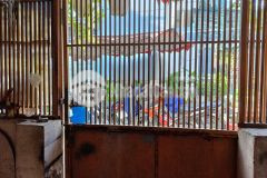 Bán nhà lê đức thọ gò vấp 52m2 giá chỉ nhỉnh 5 tỷ