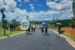 Đát nền nghỉ dưỡng palm garden bảo lộc view săn mây, đường ô tô 8m, shr từng nền thổ cư