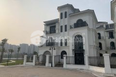 Bán biệt thự đơn lập ngọc trai vinhomes oceanpark gia lâm 310m2 mt17m chỉ 140tỷ