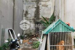 Giảm sốc đất đình thôn mỹ đình 45m2 ô tô,dân trí cao,tiện ích nhiêu chỉ 4.2 tỷ.