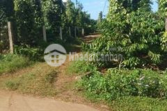 Siêu phẩm 2 mặt tiền cư mgar đắk lắk 5200m2 trung tâm xã ea kiết, huyện cư mgar