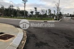 Sụp hầm lô đất sát sông cổ cò cách biển 800m