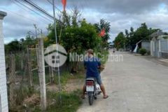 Bán vườn dừa bưởi xã long định