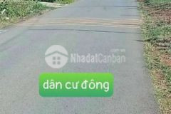 Cần b án lô đất gần thị trấn dầu giây