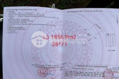 Đất hồ điệp cực hiếm tại tt lộc thắng bảo lâm